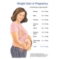 WEIGHT GAIN IN PREGNANCY