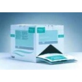 ANSELL GLOVES POWDER FREE LATEX  STERILE SMALL EACH