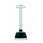 SECA 703 COLUMN SCALE