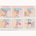 ATTACHMENT A4-THE KEY TO SUCCESFUL BREASTFEEDING 