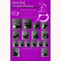 BIRTH BALL COMFORT POSITIONS