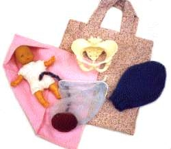 Pocket Uterus,Mini Baby & Pelvis Set