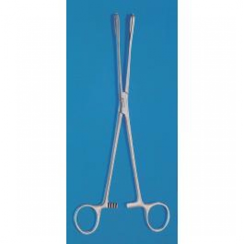 RAMPLEYS Sponge Holding Forceps