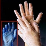 GLOVES VINYL POWDER FREE (SMALL) BOX 100